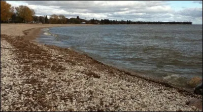 Quel est ce grand lac d'eau douce de 24 400 km2, situ&eacute; dans la province canadienne du Manitoba, son nom est celui de la capitale de cet &Eacute;tat ?
