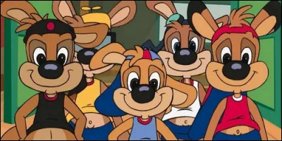 Quel sport pratique les Kangoo Juniors ?