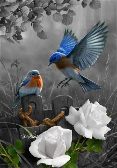 Quel animal est à l'honneur en avril ?