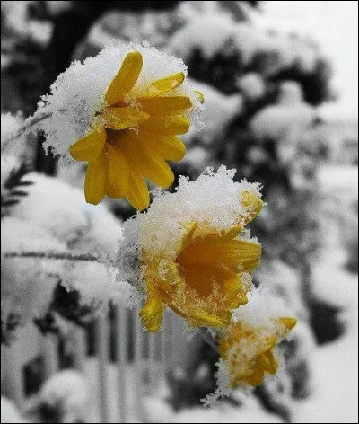 Mars : quel est le surnom de cette planète ?