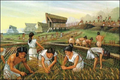 Quelle période de la préhistoire est marquée par l'avènement de l'agriculture ?