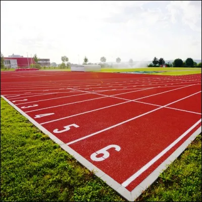 Dans quelle &eacute;preuve de lancer le record masculin et le record f&eacute;minin sont-ils &agrave; environ 85 m&egrave;tres ?