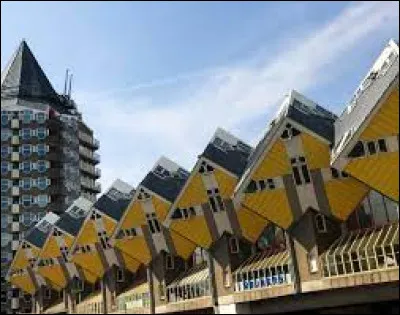 Quelle information concernant les maisons cubiques de Rotterdam est fausse ?