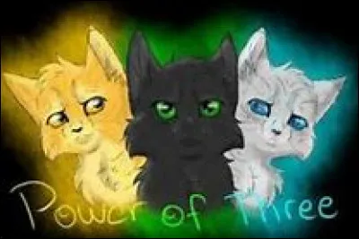 Quel est ton plus grand défaut ?