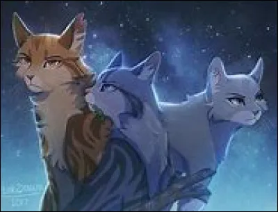 Quel pouvoir préfères-tu avoir ?