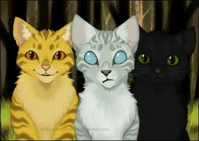 Quel est ton élément ?