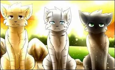 Quel est ton animal préféré ?