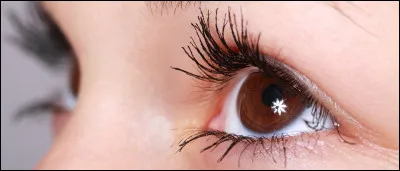 Comment s'appelle le maquillage pour les cils ?