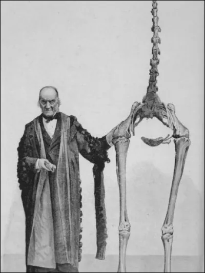 Comment s'appelle celui qui a trouvé le nom "Dinosaure" ?