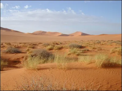 Le Sahara est le plus vaste désert du monde : quelle est sa superficie ?