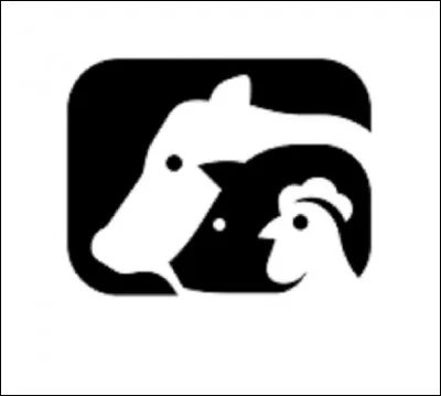 ''Le cul noir limousin'' est une race de...