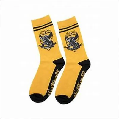 Par ZoéGranger : Dans le livre HP4, qu'est-ce que Harry cache dans les chaussettes de l'oncle Vernon ?