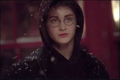 Dans HP3, Harry croit au sinistros (signe de divination qui indique que la mort arrive) :