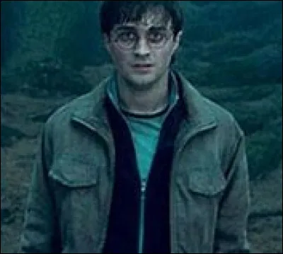 Dans HP7, Harry se laisse tuer par Voldemort pour sauver ses amis :