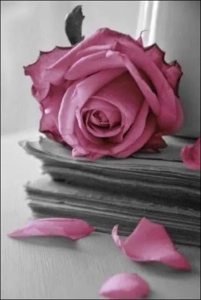 Qui a écrit le roman "Roses à crédit" ?