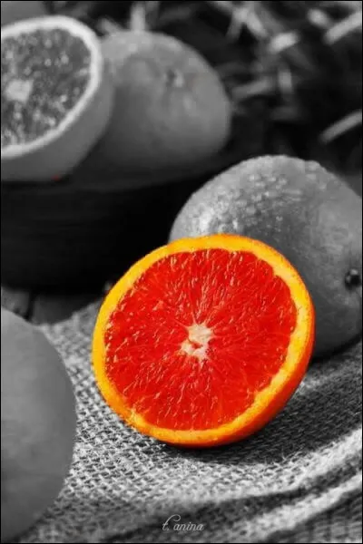 Laquelle de ces variétés d'oranges est une orange sanguine ?