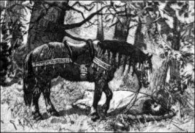 Quelle est la couleur de la robe de Grani ?