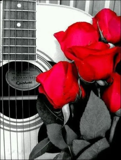 Quel chanteur nous faisait "Mourir de plaisir" ?