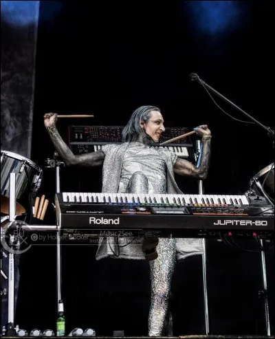 Dans le clip de "Under The Sun", de quel instrument Gared Dirge joue-t-il ?