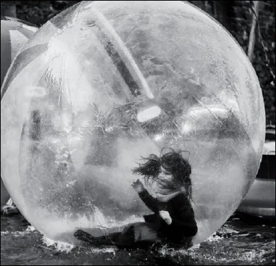 Quel système est atteint chez les enfants-bulles ?