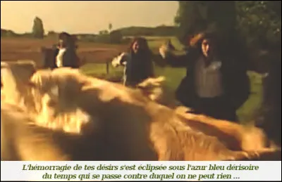 1992 > Avez-vous entendu une chanson avec les mots « anachorètes, déréliction, parabolique, dialectique, iconoclastes » et « sinusoïdale » ? Alors, vous connaissez ... (Complétez !)