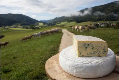 Après son changement d'appellation, qu'est devenu le "Bleu de Sassenage" ?