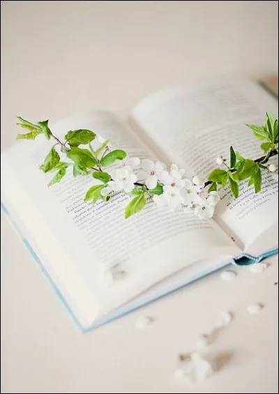 Qu'est-ce qui est de couleur verte dans le roman de Robert Sabatier ?