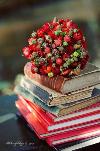 Qu'est-ce qui est rouge dans le titre du livre de Balzac ?