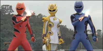 Quel ranger est poss&eacute;d&eacute; par l'esprit du gu&eacute;pard ?