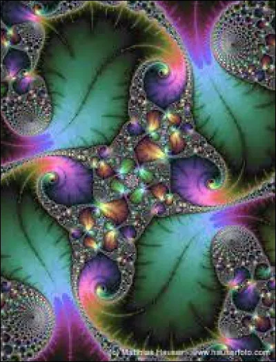 De quelle couleur est la forêt, quand elle vient ravir nos papilles ?