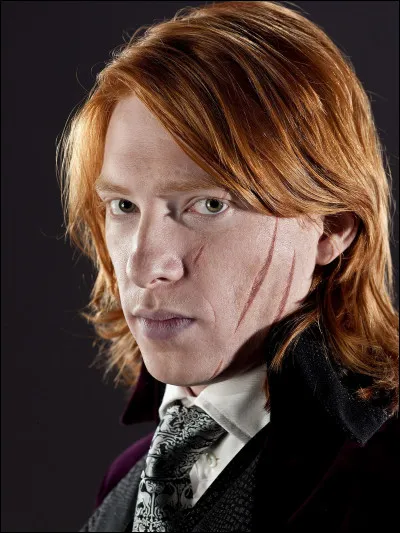 Quel est le nom de l'acteur qui a joué le rôle de Bill Weasley ?