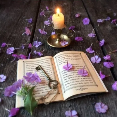 Qu'est-ce qui était de couleur bleue dans le roman de Régine Deforges ?