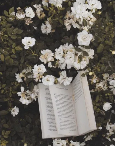 Lequel de ces romans fait référence à une histoire vraie et au meurtre non élucidé d'Elizabeth Short, une jeune femme américaine ?