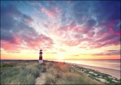 On se souvient du refrain de la chanson "Wight is Wight". "Whight is Whight, viva Donavan, c'est comme un soleil dans..." De quelle couleur était le ciel ?