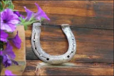 Le fer à cheval est réputé pour être un...