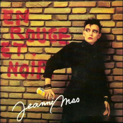 Qui chante la chanson intitulée "Noir c'est noir" ?