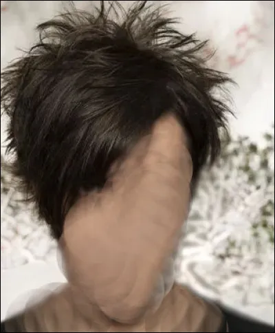 Normalement, juste avec la coupe de cheveux, ça devrait suffire, non ? "J'ai demandé..."