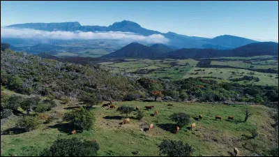 Tu aimerais vivre...