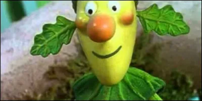 Où vit Oakie Doke dans le dessin animé du même nom ?