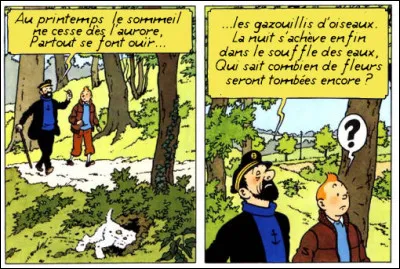 Quittons la chanson pour un poème : de qui est celui-ci et où avez-vous pu l'entendre ?