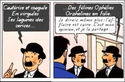 Quant aux Dupondt, eux aussi savent sortir de leur zone de confort. Qui est cité ici ?