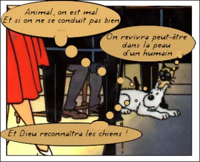 Et Dieu dans tout cela ? Enfin, je veux dire : et les animaux, qui s'en préoccupe ?