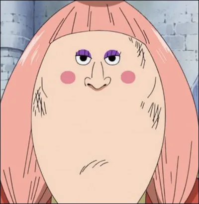 La sœur jumelle de Chiffon, Laura ! Emprisonnée sur Thriller Bark par le Shichibukai Moria puis délivrée grâce aux Mugiwara. Que lui manque-t-il ?