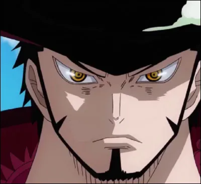 Dracule Mihawk, le plus puissant épéiste connu dans One Piece. Que lui manque-t-il ?