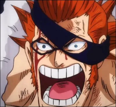 Drake, espion infiltré parmi les Tobiroppo dans l'équipage aux cents bêtes de Kaido. Que lui manque-t-il ?