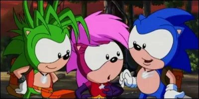 Dans quelle ville vit Sonic le Rebelle ?