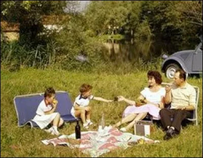Question organisation d'un pique-nique improvisé laquelle est la plus pratique des deux autos ?