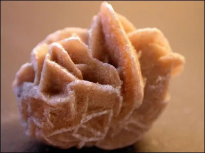 Quel minéral est le principal composant de cette roche appelée ''rose des sables'' ?