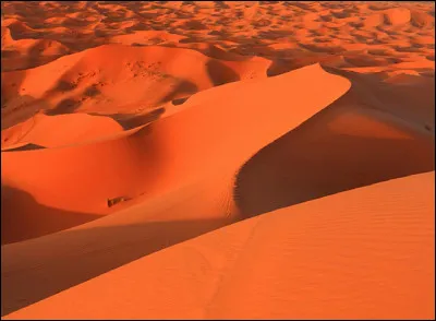 Au Sahara quel est le nom de la vaste étendue de sable où le vent a modelé des dunes ?