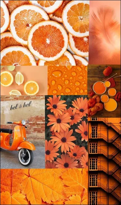 Quelle est cette couleur ?